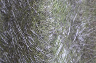 Collingham fibreglass roof work